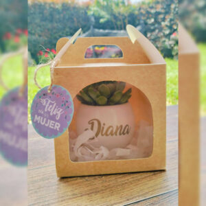 Suculenta personalizada