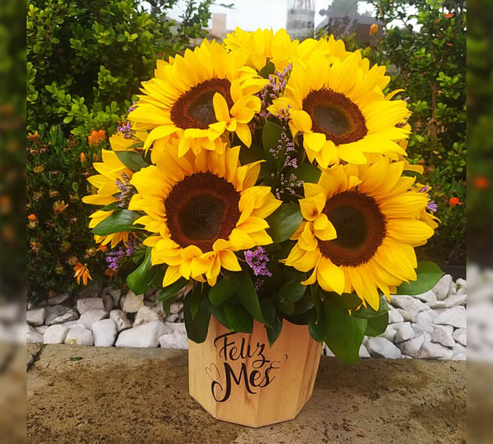 Floral Frutal 22