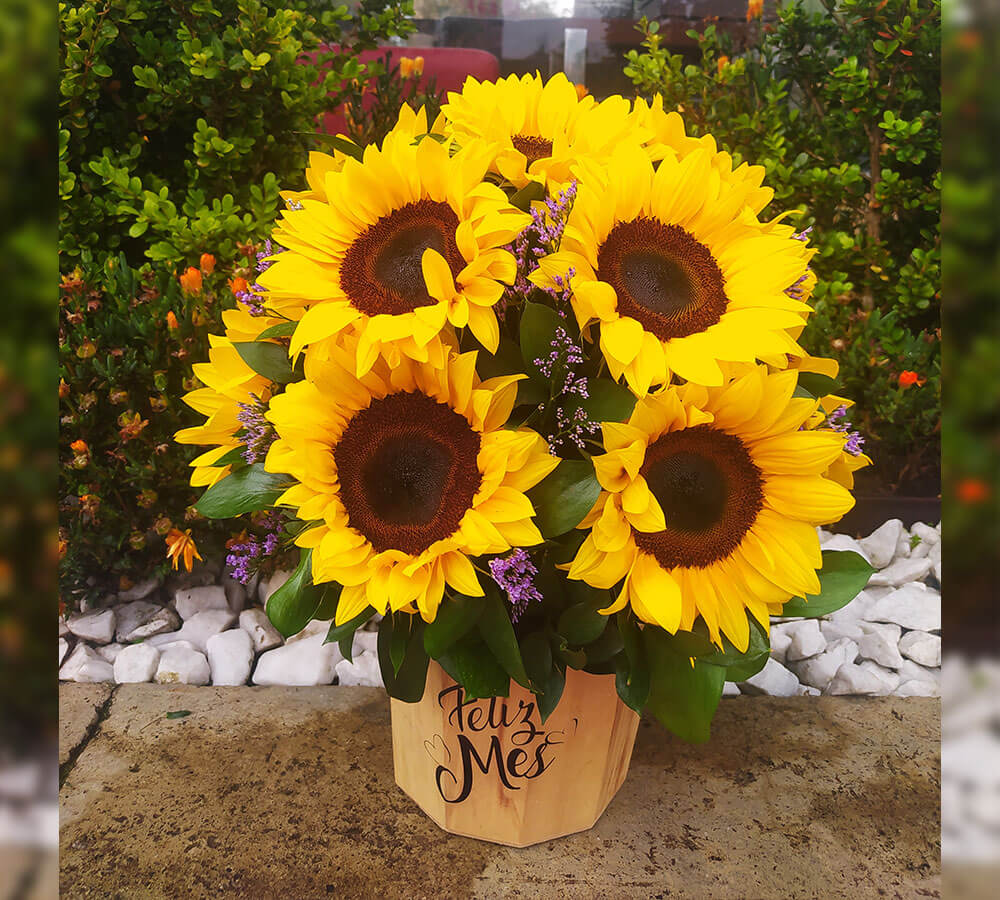 Floral Frutal 22 - Image 3